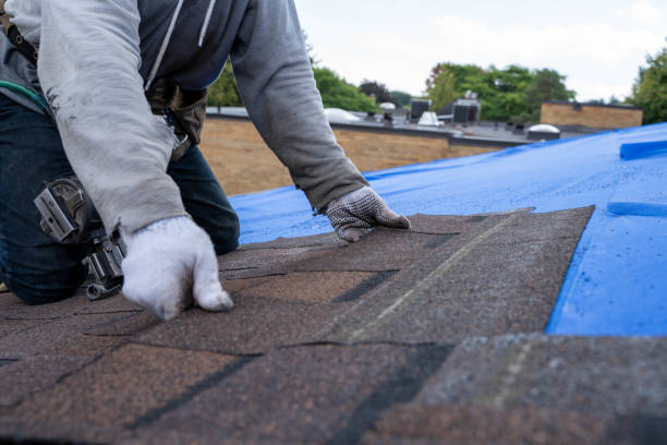 Waterproofing in Spotsylvania Courthouse, VA
